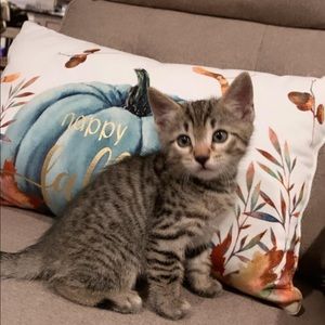 Meet your Posher, Maty